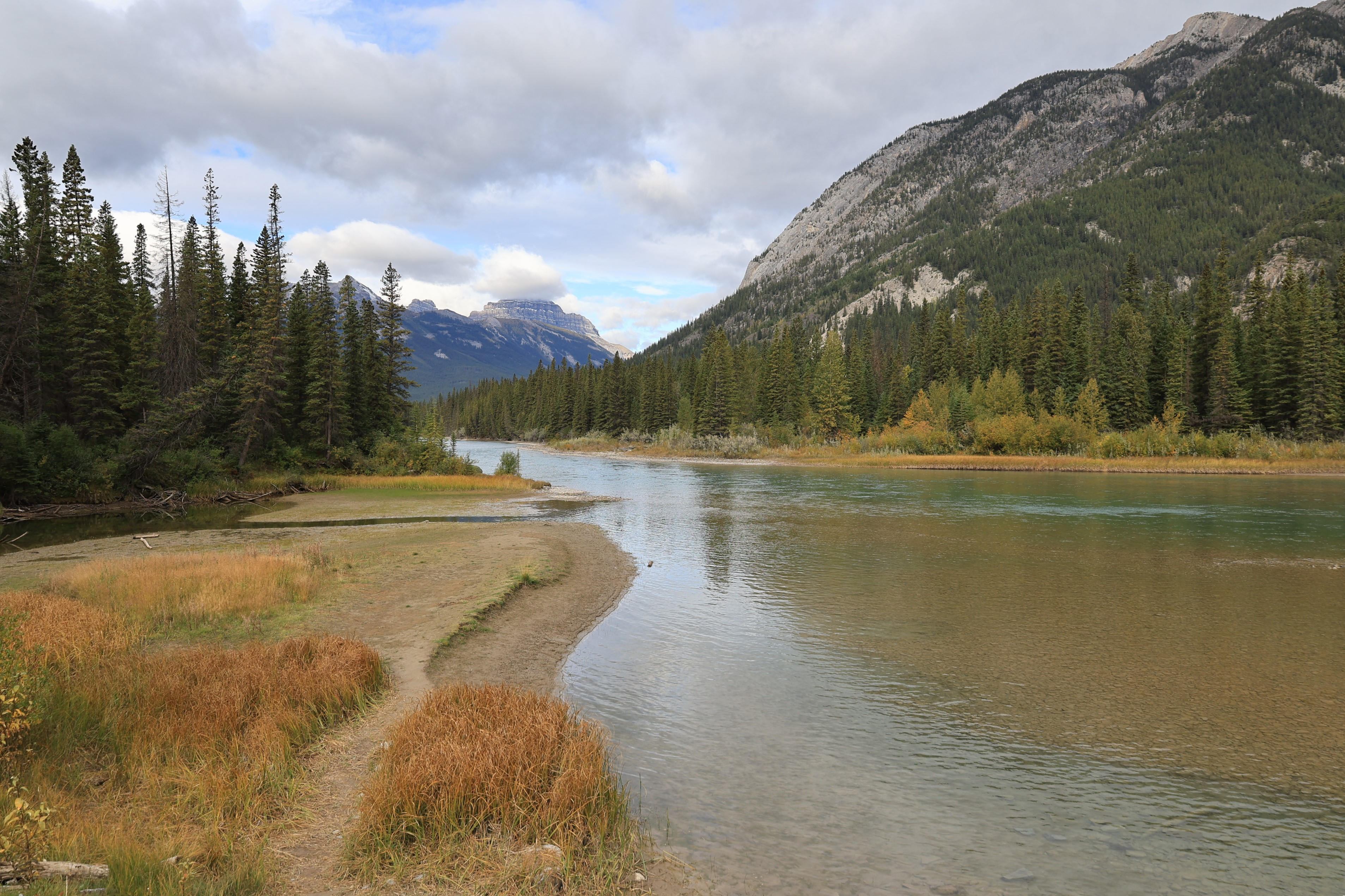 NP Banff